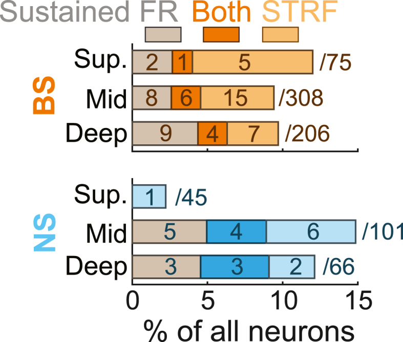 Fig. 10