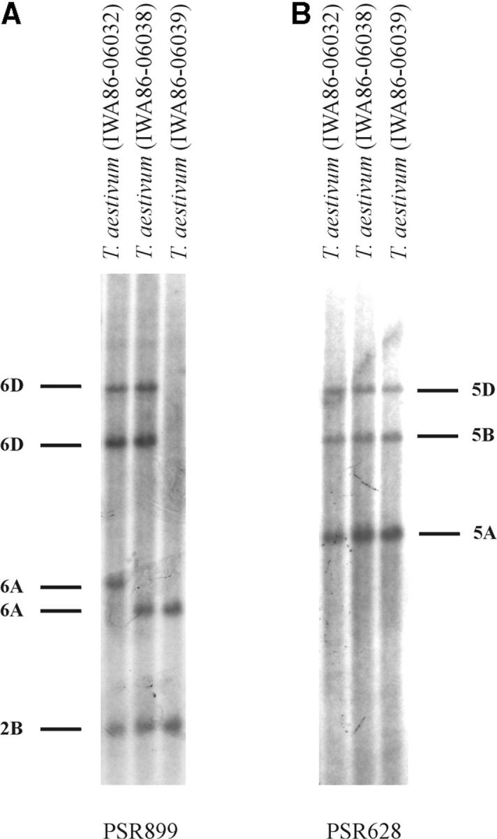 Figure 3.—