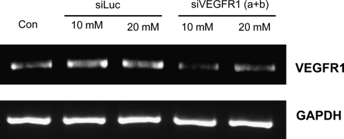 FIG. 5.