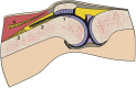 Fig 5