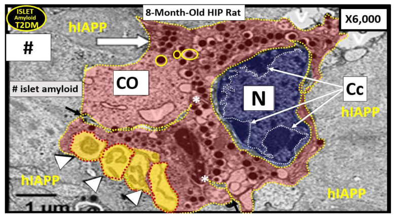 Figure 16