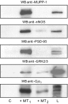 F<sc>ig</sc>. 2.