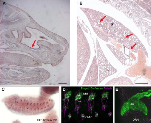 Figure 2