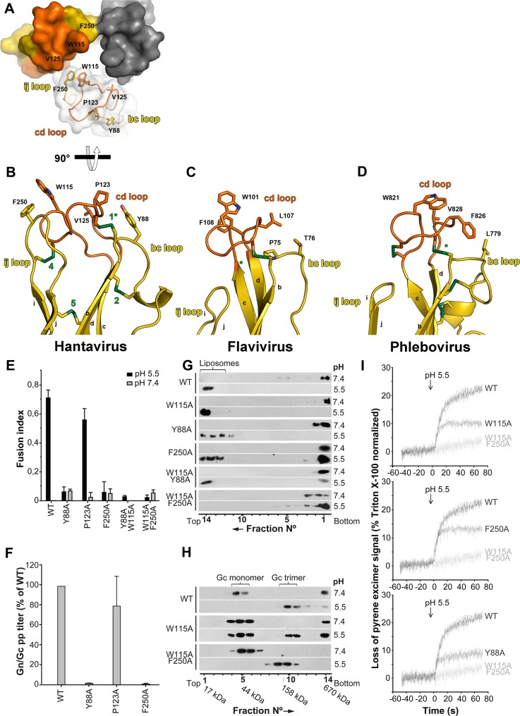 Fig 5