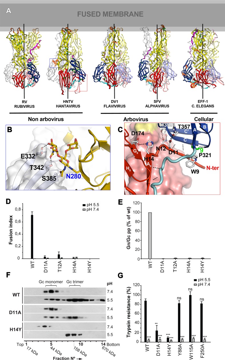 Fig 4