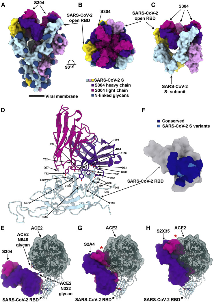 Figure 6