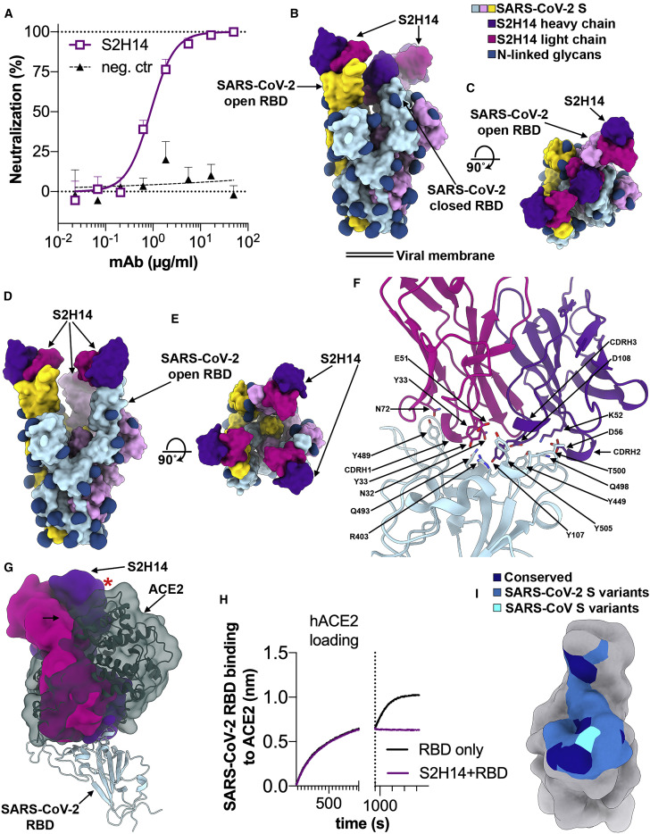 Figure 4