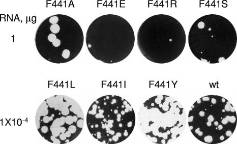 FIG. 5.