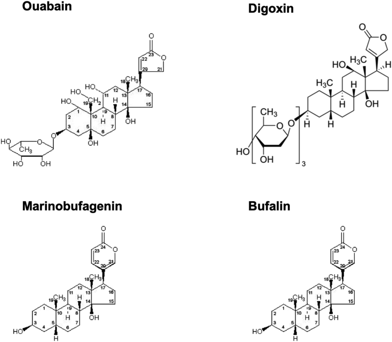 Figure 1