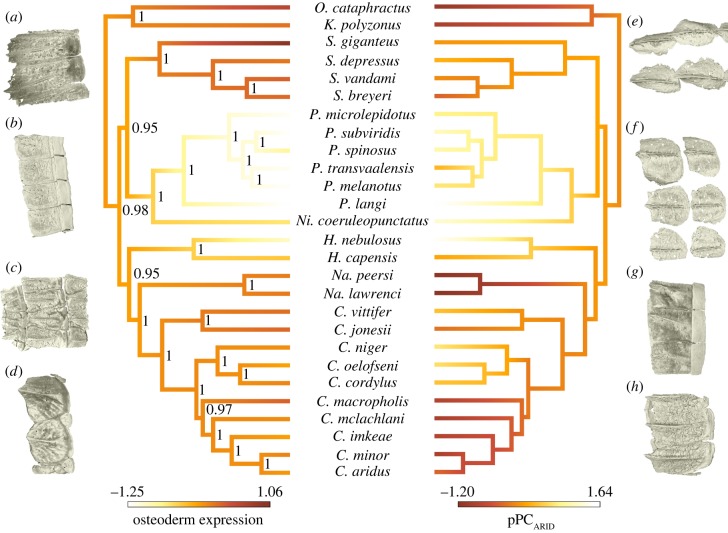 Figure 3.