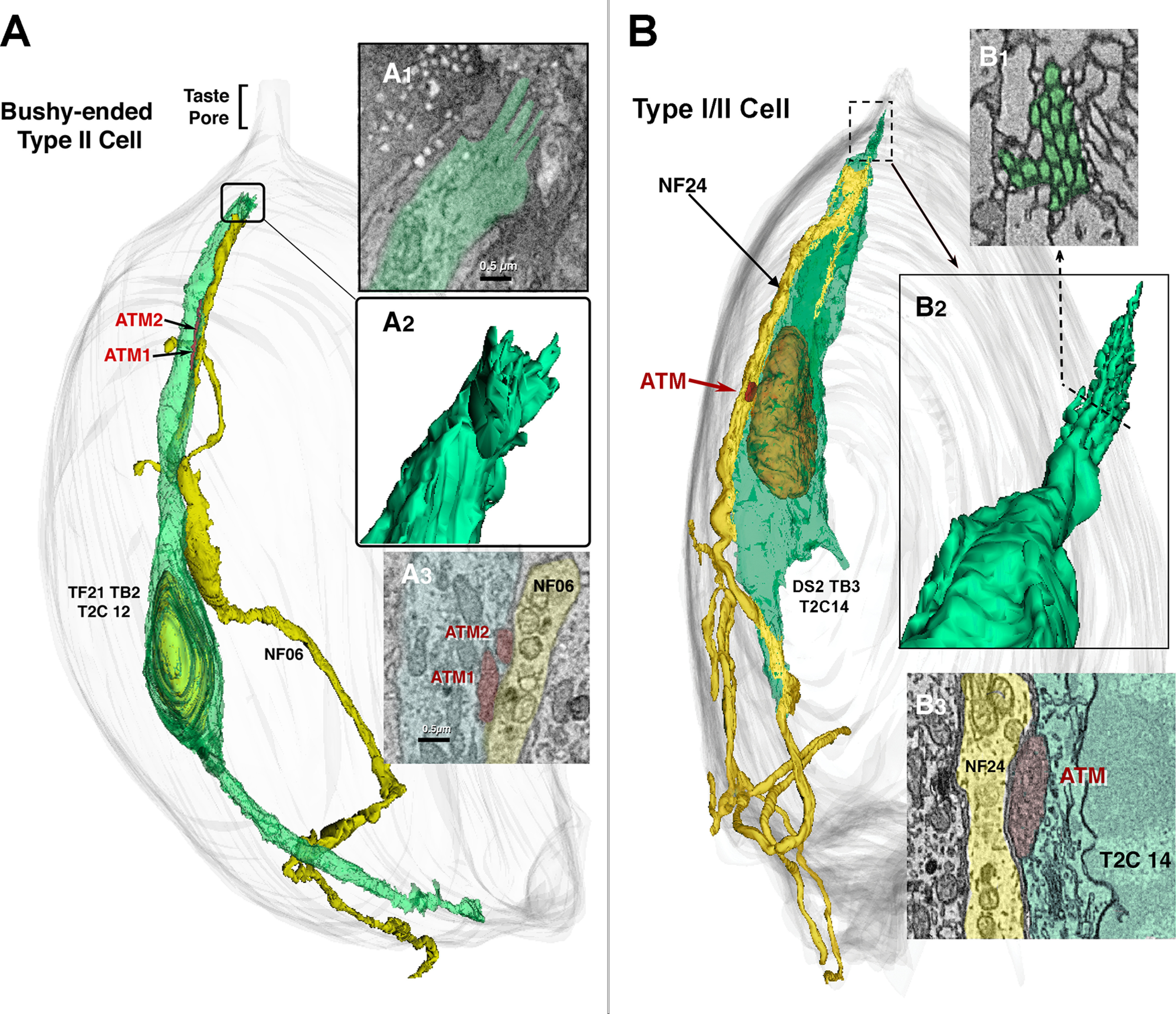 Figure 3.