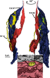 Figure 7.
