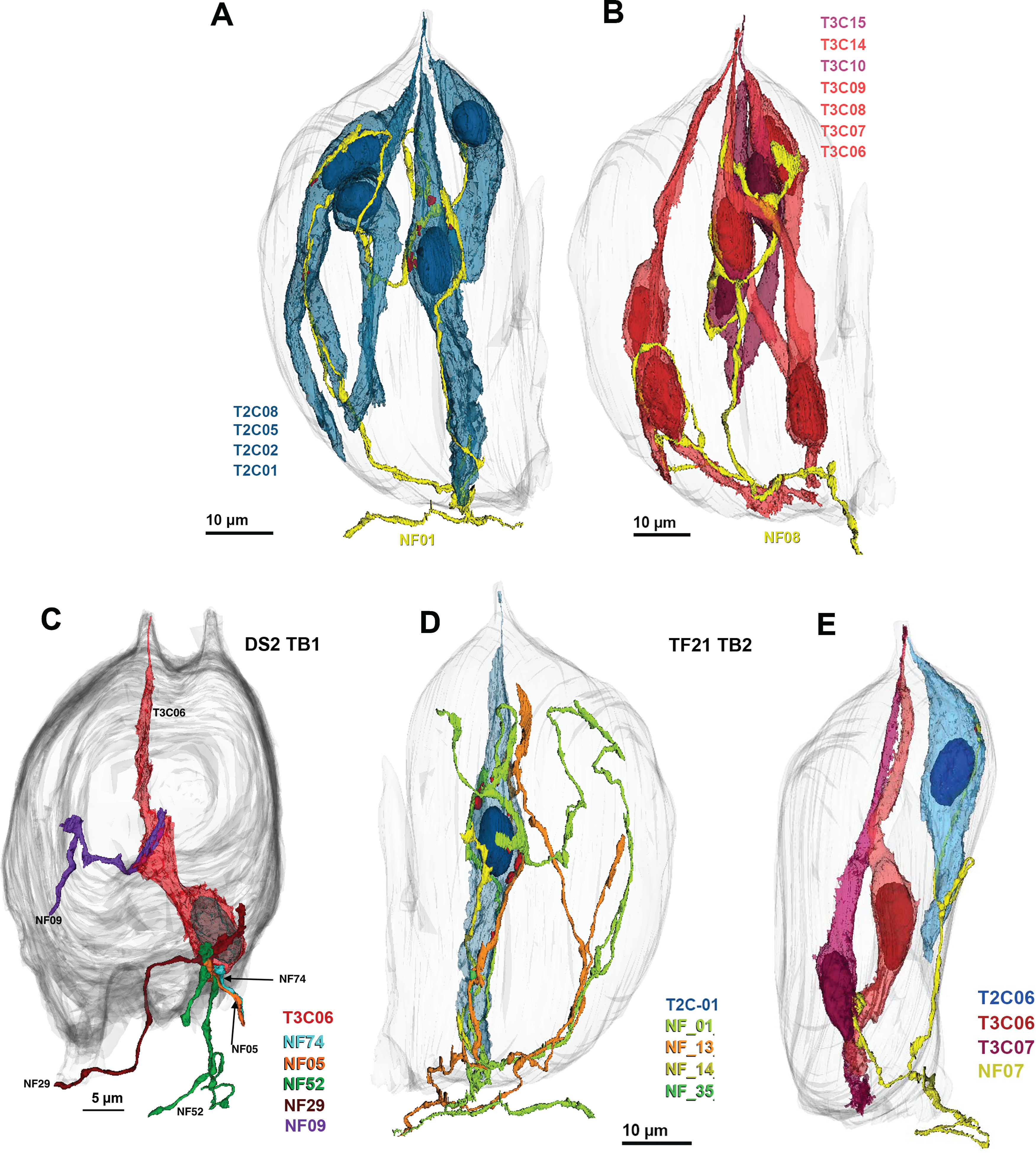 Figure 9.