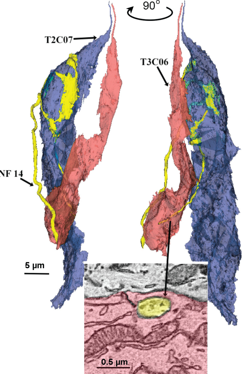 Figure 7.