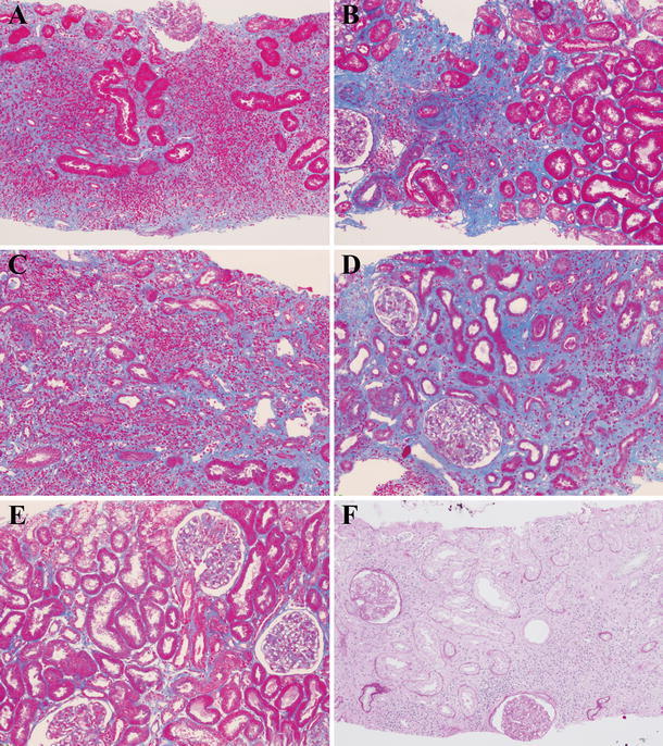 Fig. 4