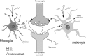 Fig. (6)