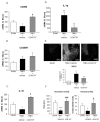 Fig. (7)