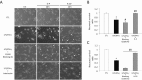 Fig. (4)