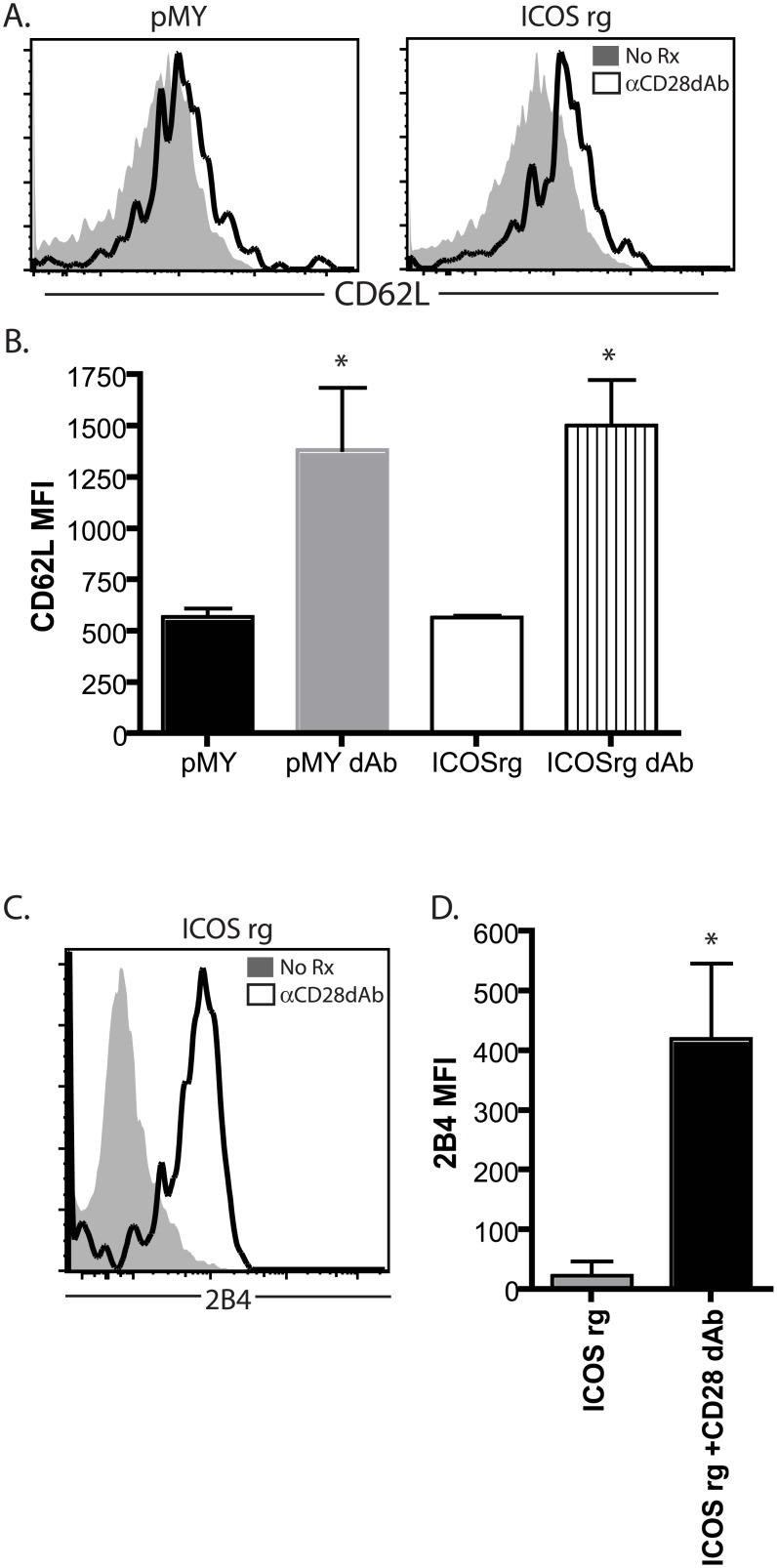 Fig 5