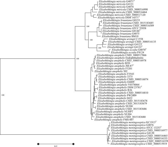 FIG 1