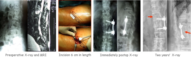 Fig. 3