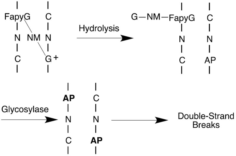 Scheme 2