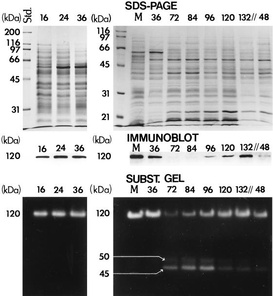 FIG. 8