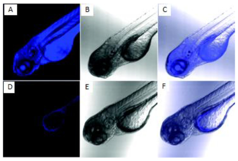 Figure 26