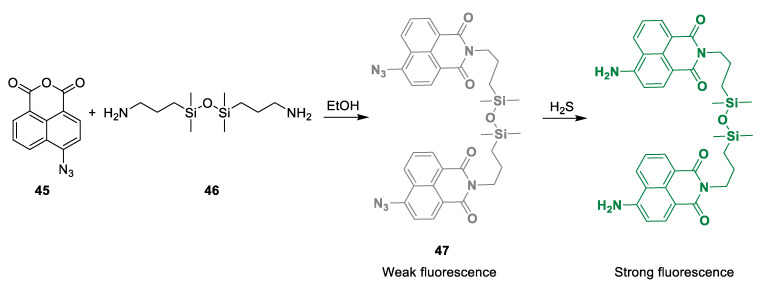 Scheme 16