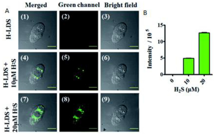 Figure 28