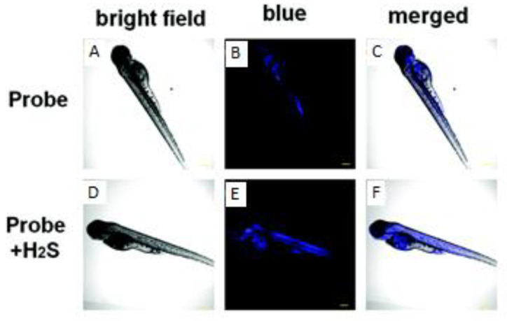 Figure 22