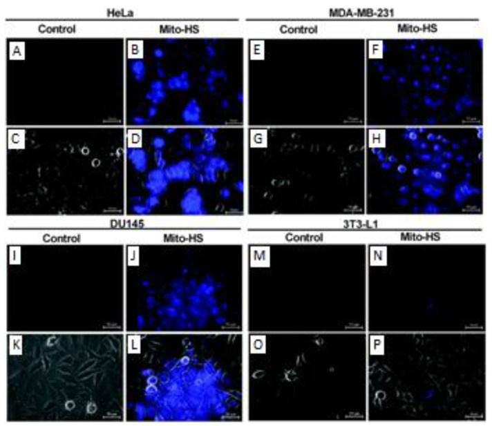 Figure 27