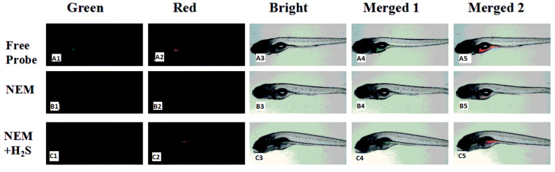 Figure 21