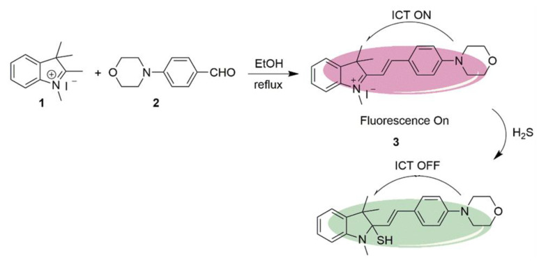 Scheme 2