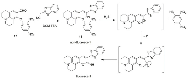 Scheme 7