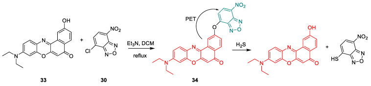 Scheme 12