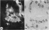 214