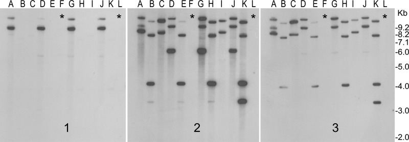 FIG 2