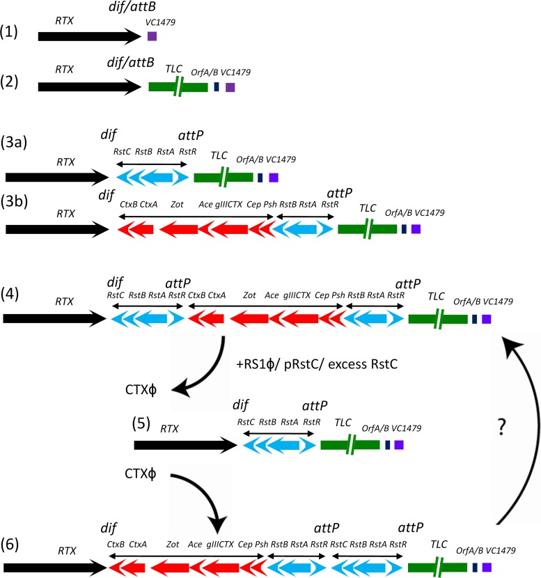 FIG 3