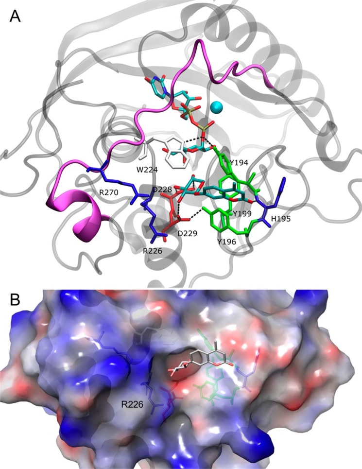 FIGURE 1.