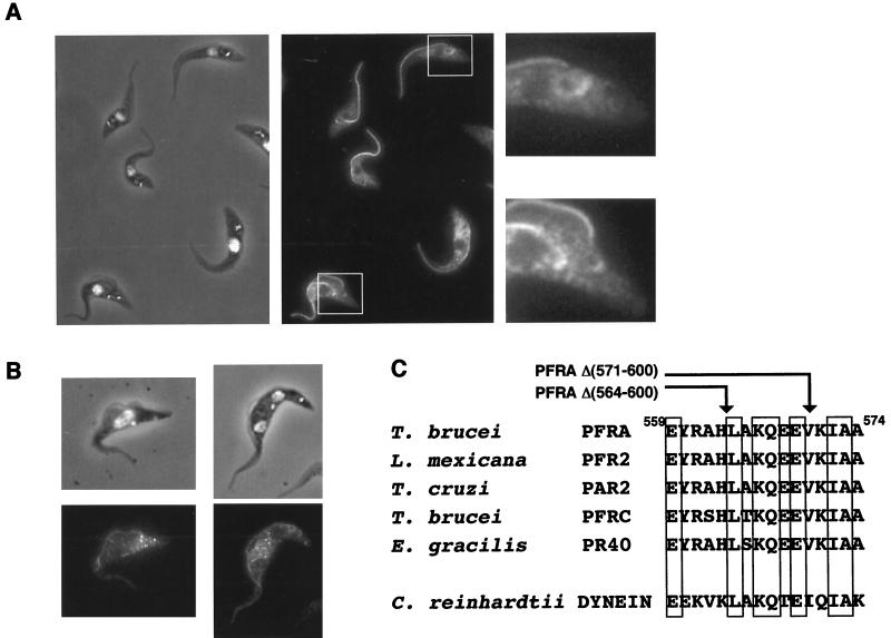 FIG. 7