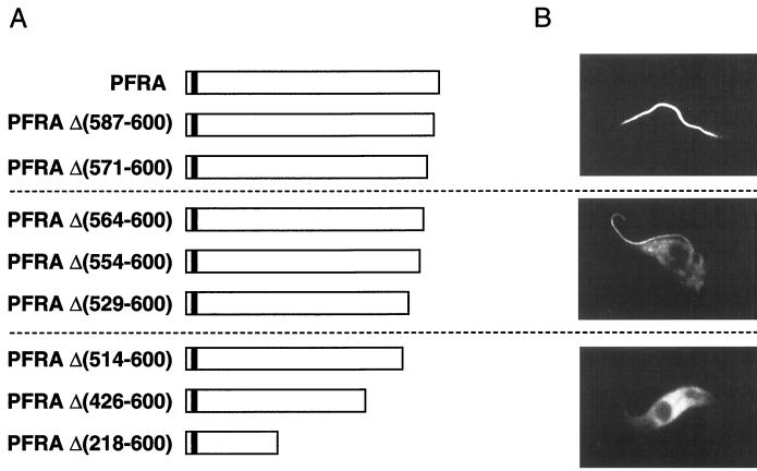 FIG. 6