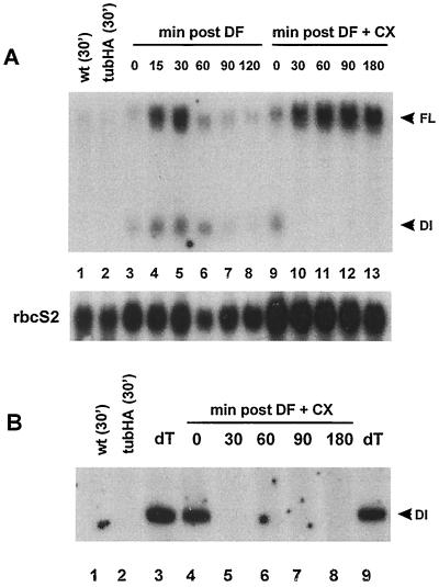 FIG. 5