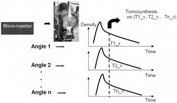 Fig.1