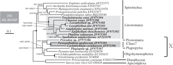 Figure 4.