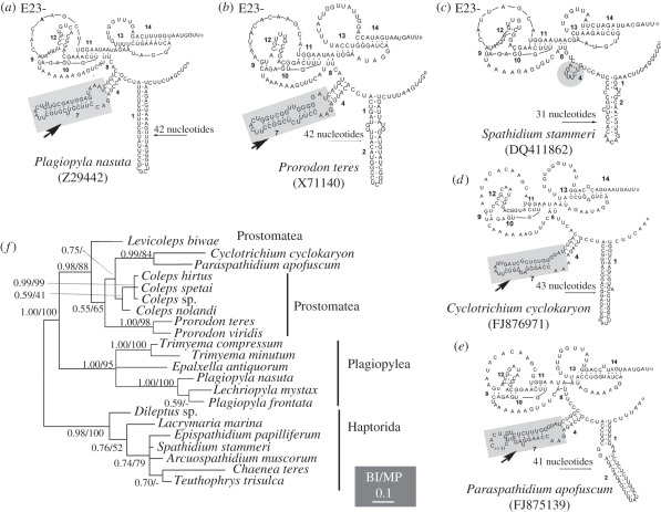 Figure 2.