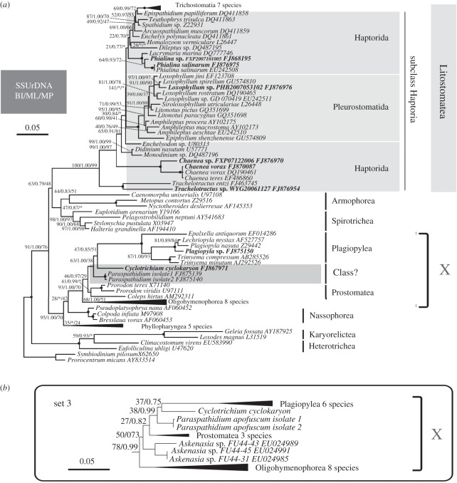 Figure 3.