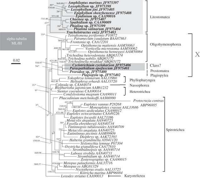 Figure 5.