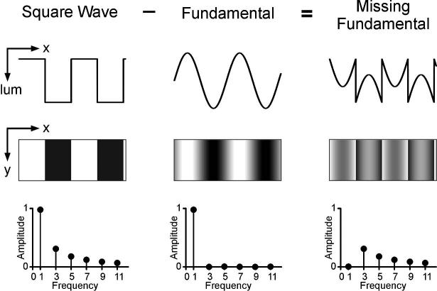 FIGURE 1.