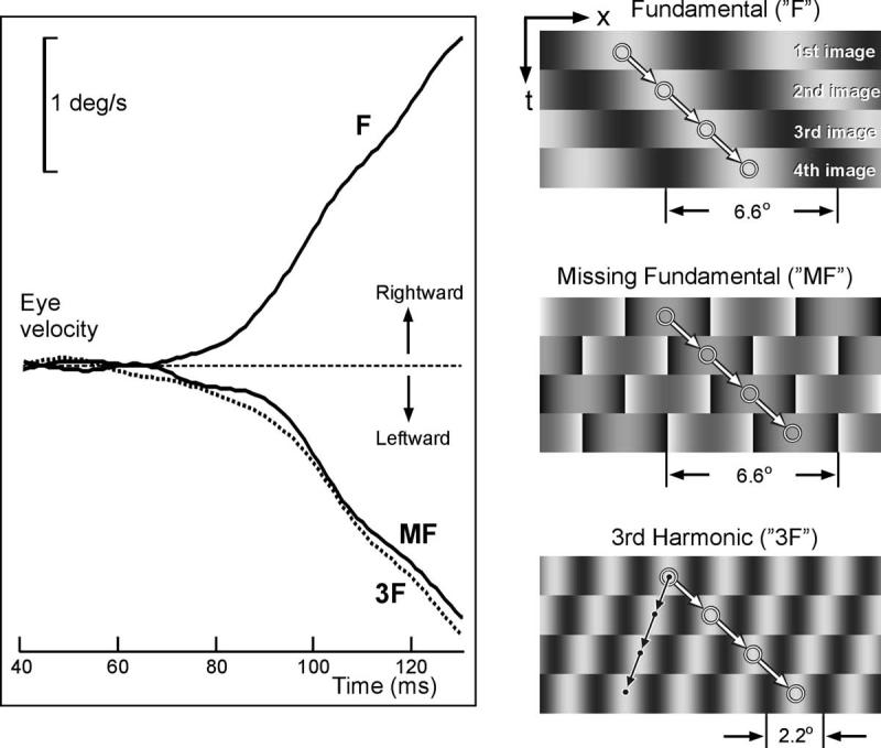 FIGURE 3.